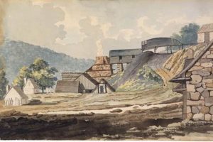 Explore Warwick Furnace Farm: History & Farming | The Conscious Farmer | Sustainable Agriculture for a Healthier Planet