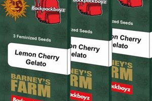 Buy Barney's Farm Seeds USA: Best Genetics | The Conscious Farmer | Sustainable Agriculture for a Healthier Planet