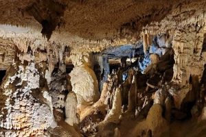 Explore Fantastic Caverns: Springfield's Underground Gem | The Conscious Farmer | Sustainable Agriculture for a Healthier Planet