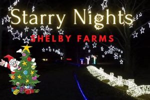 Shelby Farms Starry Night: Light Up Your Night! | The Conscious Farmer | Sustainable Agriculture for a Healthier Planet