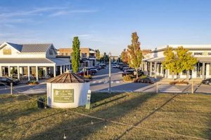 Visit Berry Farms Town Center: Shopping & More! | The Conscious Farmer | Sustainable Agriculture for a Healthier Planet
