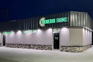 About Genesis Farms: Sustainable Farming's Core | The Conscious Farmer | Sustainable Agriculture for a Healthier Planet