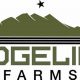 Elevated Farming: Ridgeline Farms for Sustainable Growth | The Conscious Farmer | Sustainable Agriculture for a Healthier Planet
