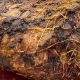 Guide to Aron Kissena Farms: Local Farming Insights | The Conscious Farmer | Sustainable Agriculture for a Healthier Planet