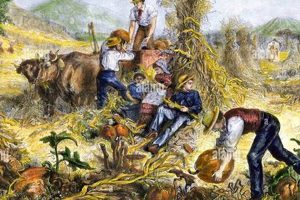 A Look Back: Farming in the 1800s - History & Practices | The Conscious Farmer | Sustainable Agriculture for a Healthier Planet