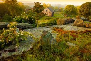 Discover Stonington Farms: Local Farming Excellence | The Conscious Farmer | Sustainable Agriculture for a Healthier Planet