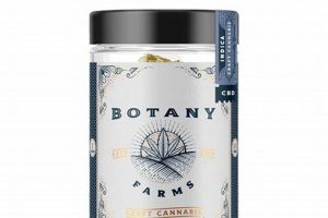 Modern Botany Farms: Growing the Future of Farming | The Conscious Farmer | Sustainable Agriculture for a Healthier Planet