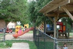 Discover Christian Farms Treehouse: Faith &amp; Farming | The Conscious Farmer | Sustainable Agriculture for a Healthier Planet