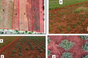 Smart Spatial Farm: Optimize Your Farming Layout | The Conscious Farmer | Sustainable Agriculture for a Healthier Planet