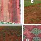 Smart Spatial Farm: Optimize Your Farming Layout | The Conscious Farmer | Sustainable Agriculture for a Healthier Planet