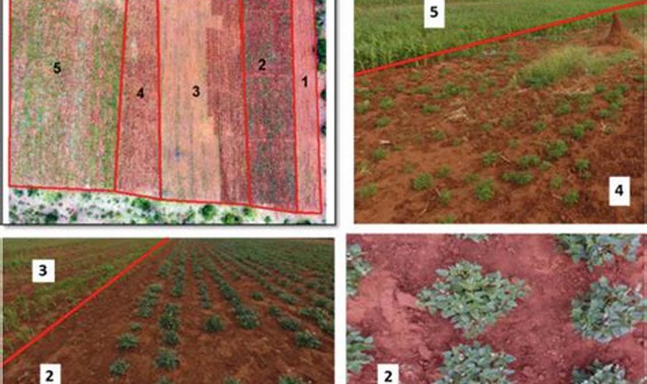 Smart Spatial Farm: Optimize Your Farming Layout | The Conscious Farmer | Sustainable Agriculture for a Healthier Planet