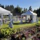 Understanding Middleground Farms: Balanced Farming | The Conscious Farmer | Sustainable Agriculture for a Healthier Planet