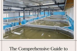 Best Indoor Shrimp Farming Guide: Profitable Tips The Conscious Farmer | Sustainable Agriculture for a Healthier Planet Best Indoor Shrimp Farming Guide: Profitable Tips | The Conscious Farmer | Sustainable Agriculture for a Healthier Planet