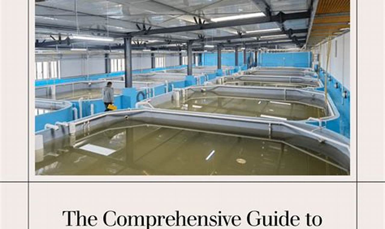 Best Indoor Shrimp Farming Guide: Profitable Tips The Conscious Farmer | Sustainable Agriculture for a Healthier Planet Best Indoor Shrimp Farming Guide: Profitable Tips | The Conscious Farmer | Sustainable Agriculture for a Healthier Planet