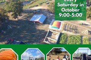 Grow With Cornutt Farms: Family Farming Excellence | The Conscious Farmer | Sustainable Agriculture for a Healthier Planet