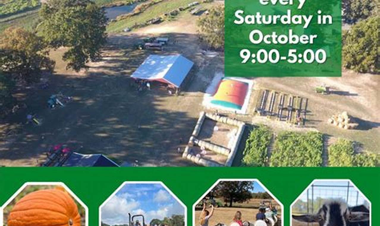 Grow With Cornutt Farms: Family Farming Excellence | The Conscious Farmer | Sustainable Agriculture for a Healthier Planet