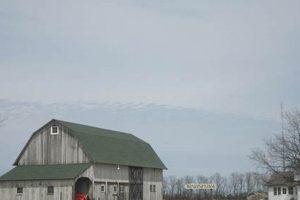 Discover Historic Hallockville Museum Farm Today! | The Conscious Farmer | Sustainable Agriculture for a Healthier Planet