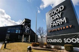 Good Day Farm Springfield East: Your Local Cannabis Oasis The Conscious Farmer | Sustainable Agriculture for a Healthier Planet Good Day Farm Springfield East: Your Local Cannabis Oasis | The Conscious Farmer | Sustainable Agriculture for a Healthier Planet