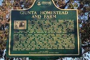 Your Guide to Giunta Homestead and Farm Life Tips | The Conscious Farmer | Sustainable Agriculture for a Healthier Planet