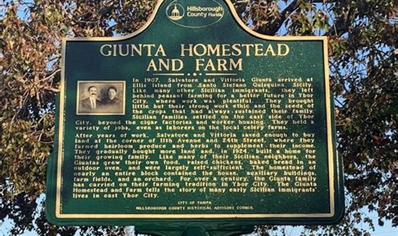 Your Guide to Giunta Homestead and Farm Life Tips | The Conscious Farmer | Sustainable Agriculture for a Healthier Planet