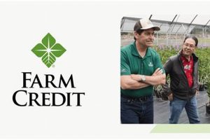 Charting Farm Credit By-Products: Analysis &amp; Insights | The Conscious Farmer | Sustainable Agriculture for a Healthier Planet