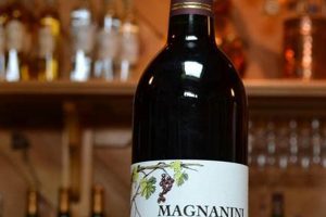 Explore Magnanini Farm Winery: A Hudson Valley Gem | The Conscious Farmer | Sustainable Agriculture for a Healthier Planet