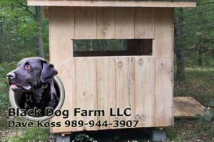 The Black Dog Farm: Sustainable Farming Done Right | The Conscious Farmer | Sustainable Agriculture for a Healthier Planet
