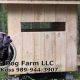 The Black Dog Farm: Sustainable Farming Done Right | The Conscious Farmer | Sustainable Agriculture for a Healthier Planet