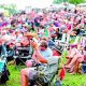 Your Guide to Briggs Farm Blues Festival: Music &amp; More! | The Conscious Farmer | Sustainable Agriculture for a Healthier Planet