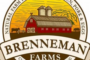Discover Brenneman Farms: Your Local Farming Experts | The Conscious Farmer | Sustainable Agriculture for a Healthier Planet