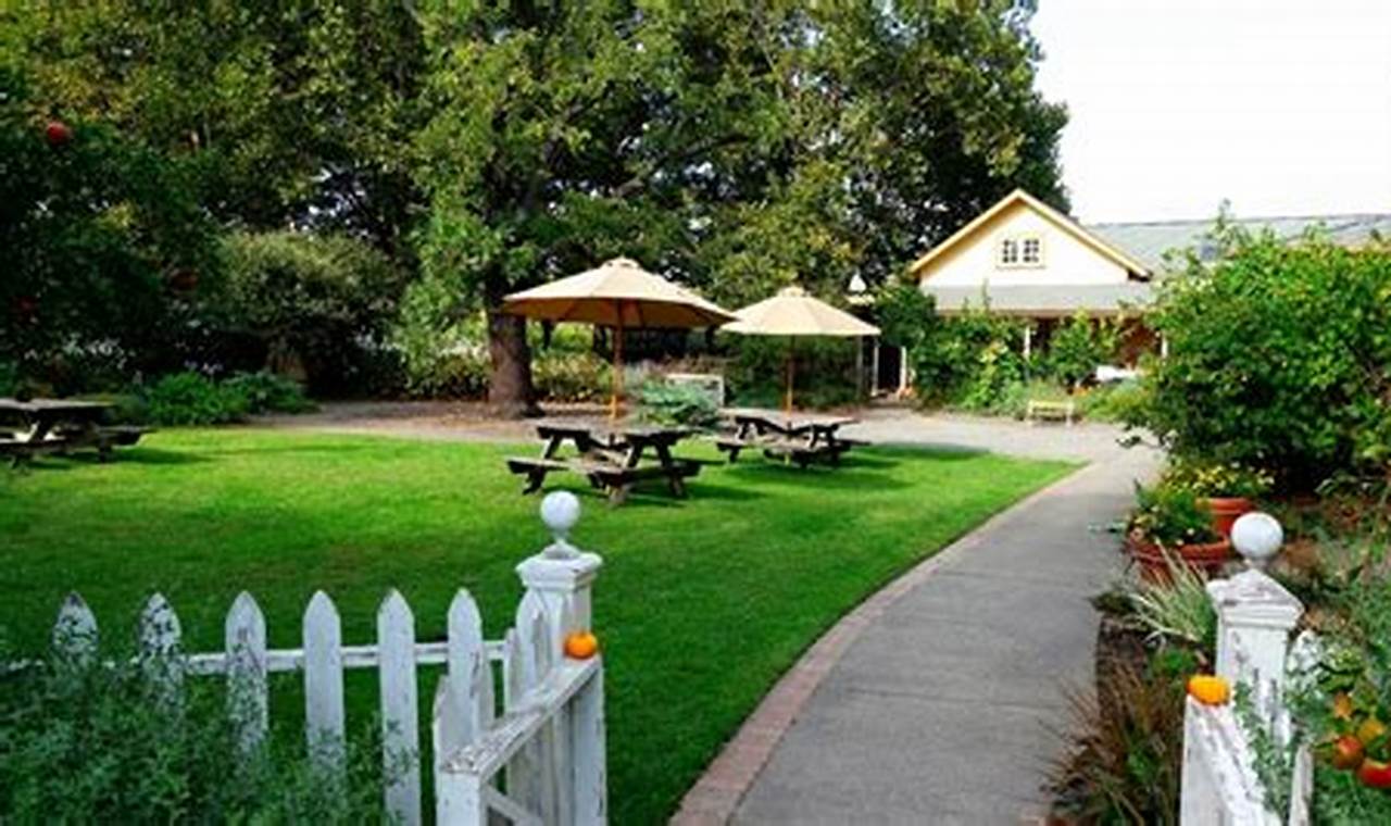 Visit Preston Farm Winery: Wine & Scenic Farms The Conscious Farmer | Sustainable Agriculture for a Healthier Planet Visit Preston Farm Winery: Wine & Scenic Farms | The Conscious Farmer | Sustainable Agriculture for a Healthier Planet