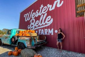 Discover Belle Farm Oasis: Sustainable Farming | The Conscious Farmer | Sustainable Agriculture for a Healthier Planet