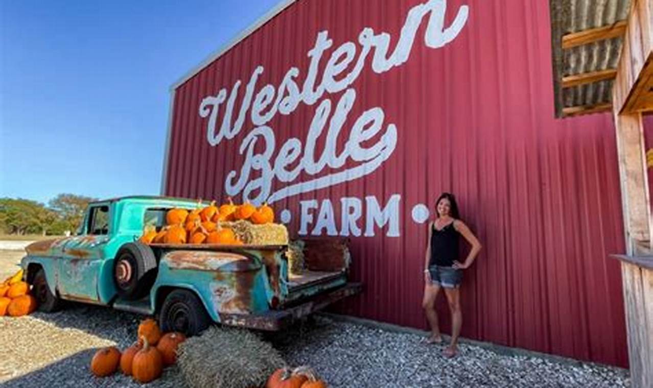 Discover Belle Farm Oasis: Sustainable Farming | The Conscious Farmer | Sustainable Agriculture for a Healthier Planet