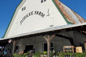 Discover Jubilee Farm Washington: A Local Gem The Conscious Farmer | Sustainable Agriculture for a Healthier Planet Discover Jubilee Farm Washington: A Local Gem | The Conscious Farmer | Sustainable Agriculture for a Healthier Planet