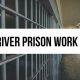 Exploring Dan River Prison Farm: History & Farming Legacy | The Conscious Farmer | Sustainable Agriculture for a Healthier Planet