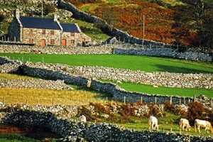 Discovering: Welsh Farms &amp; Rural Farming Charm | The Conscious Farmer | Sustainable Agriculture for a Healthier Planet