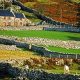 Discovering: Welsh Farms &amp; Rural Farming Charm | The Conscious Farmer | Sustainable Agriculture for a Healthier Planet