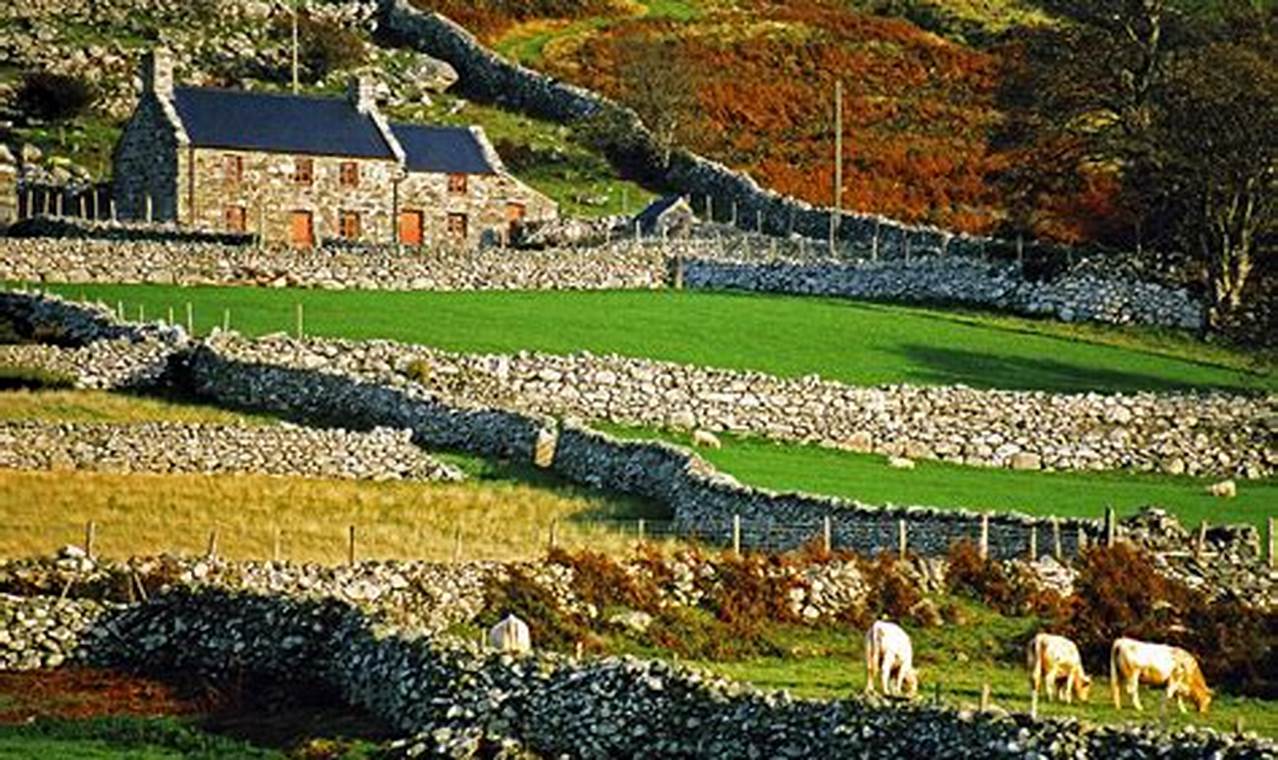 Discovering: Welsh Farms &amp; Rural Farming Charm | The Conscious Farmer | Sustainable Agriculture for a Healthier Planet