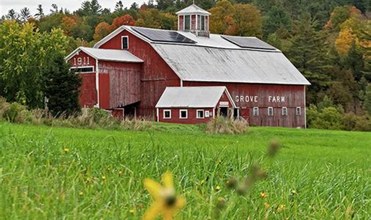 Visit Locust Grove Farm: A Farming Getaway! The Conscious Farmer | Sustainable Agriculture for a Healthier Planet Visit Locust Grove Farm: A Farming Getaway! | The Conscious Farmer | Sustainable Agriculture for a Healthier Planet