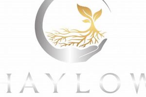 Discover Haylow Farms: Sustainable Local Farming The Conscious Farmer | Sustainable Agriculture for a Healthier Planet Discover Haylow Farms: Sustainable Local Farming | The Conscious Farmer | Sustainable Agriculture for a Healthier Planet