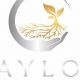 Discover Haylow Farms: Sustainable Local Farming | The Conscious Farmer | Sustainable Agriculture for a Healthier Planet