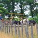 Experience Slate Run Living Historical Farm Today! Farming | The Conscious Farmer | Sustainable Agriculture for a Healthier Planet
