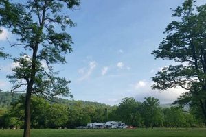 Escape to Graves Mountain Farm Campground: Farming Fun! The Conscious Farmer | Sustainable Agriculture for a Healthier Planet Escape to Graves Mountain Farm Campground: Farming Fun! | The Conscious Farmer | Sustainable Agriculture for a Healthier Planet