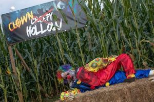 Spooky Scare Farm: Farming Frights & Fun! The Conscious Farmer | Sustainable Agriculture for a Healthier Planet Spooky Scare Farm: Farming Frights & Fun! | The Conscious Farmer | Sustainable Agriculture for a Healthier Planet