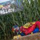 Spooky Scare Farm: Farming Frights & Fun! | The Conscious Farmer | Sustainable Agriculture for a Healthier Planet
