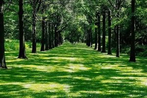 Explore St James Farm: History, Nature & More! The Conscious Farmer | Sustainable Agriculture for a Healthier Planet Explore St James Farm: History, Nature & More! | The Conscious Farmer | Sustainable Agriculture for a Healthier Planet