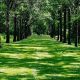 Explore St James Farm: History, Nature & More! | The Conscious Farmer | Sustainable Agriculture for a Healthier Planet