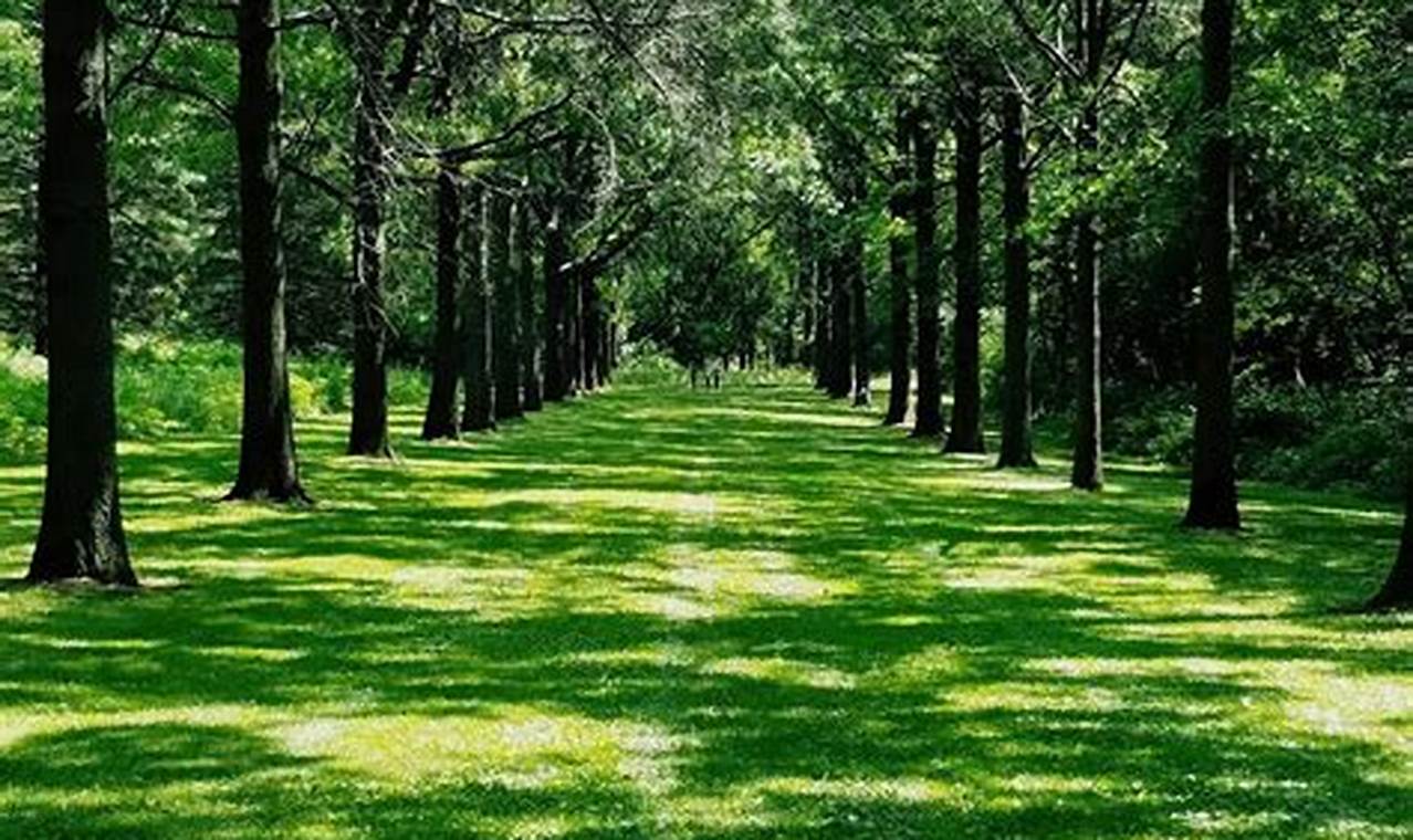 Explore St James Farm: History, Nature & More! The Conscious Farmer | Sustainable Agriculture for a Healthier Planet Explore St James Farm: History, Nature & More! | The Conscious Farmer | Sustainable Agriculture for a Healthier Planet
