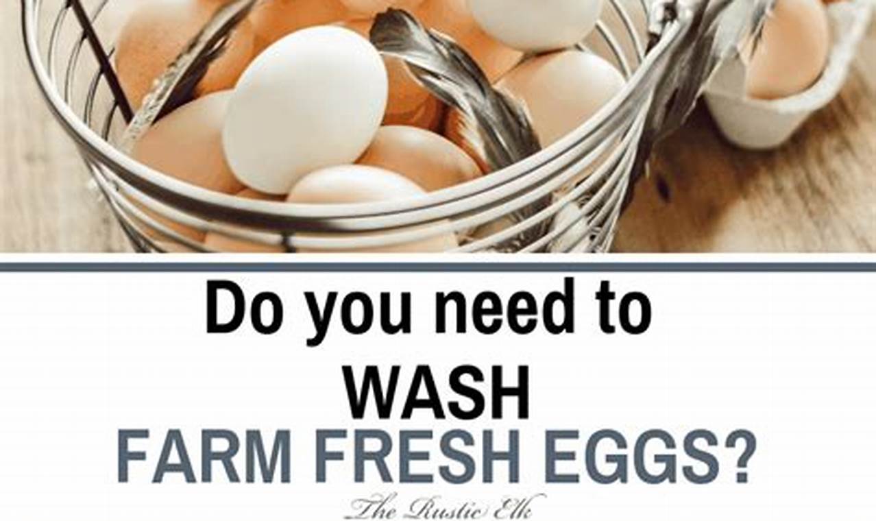 Farm Fresh Eggs: How to Wash, Store & Keep 'Em Fresh | The Conscious Farmer | Sustainable Agriculture for a Healthier Planet