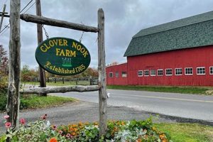 Discover Clover Nook Farm: Sustainable Farming | The Conscious Farmer | Sustainable Agriculture for a Healthier Planet
